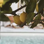 Le Sud Juan-les-Pins