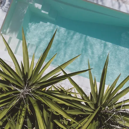 Le Sud Hotell Juan-les-Pins