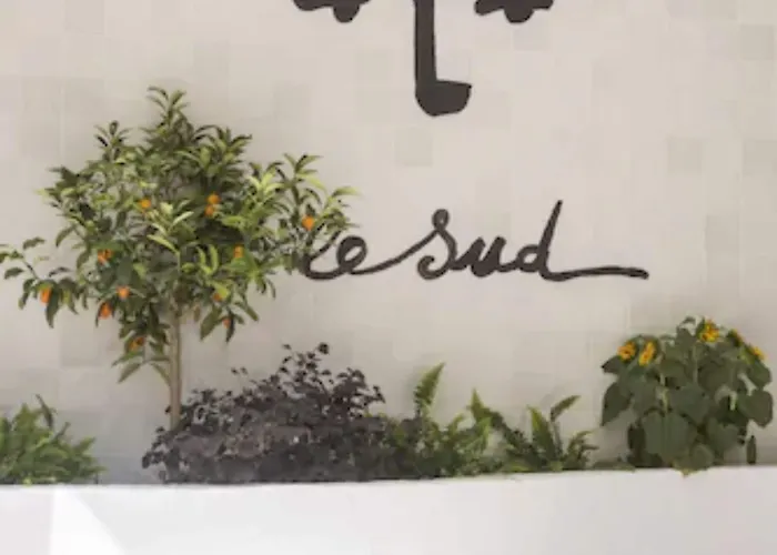 Hotel Le Sud 3*